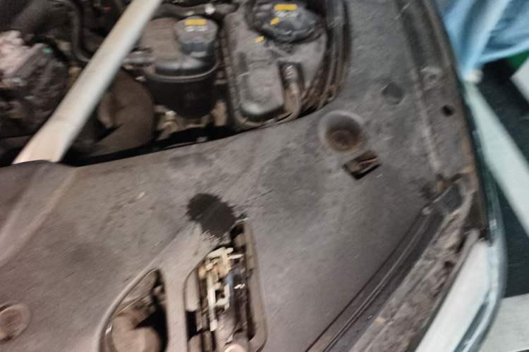 Used BMW 5 Series 2020 530Li Leading Edition Luxury Package Engine Bay Left
