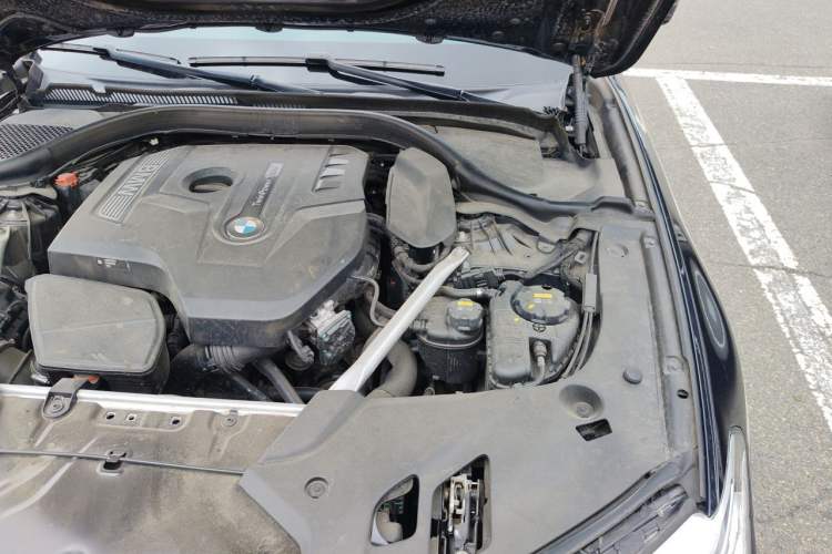 Used BMW 5 Series 2020 530Li xDrive M Sport Package Engine Bay Left