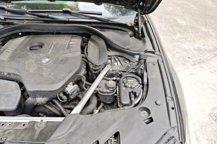 Used BMW 5 Series 2020 530Li Leading Model M Sport Package Engine Bay Left