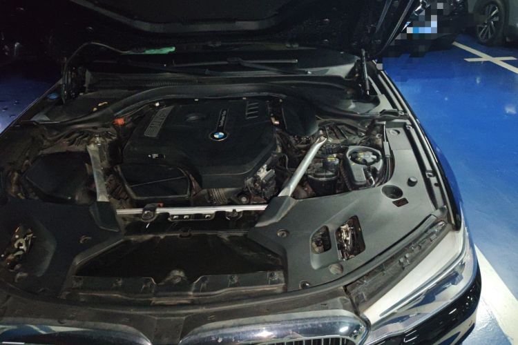 Used BMW 5 Series 2020 530Li Leading Edition Luxury Package Engine Bay Left