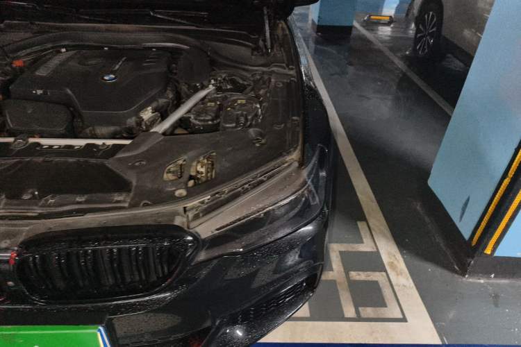 Used BMW 5 Series 2020 530Li Leading Model M Sport Package Engine Bay Left