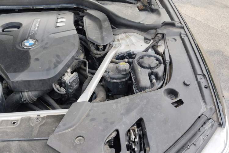Used BMW 5 Series 2020 530Li Luxury Edition Premium Package Engine Bay Left