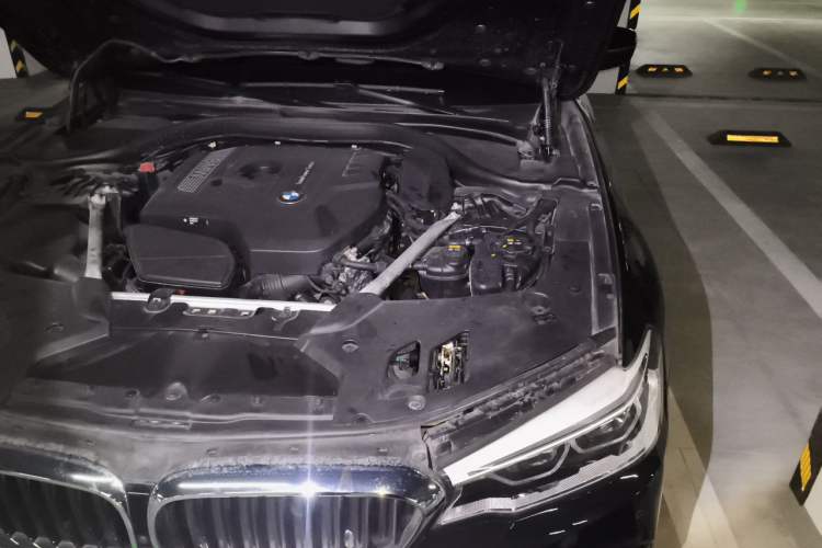 Used BMW 5 Series 2020 530Li Luxury Edition M Sport Package Engine Bay Left
