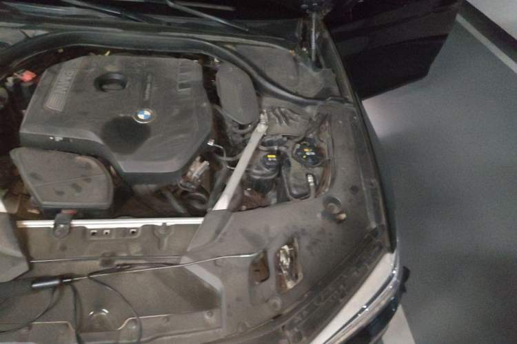 Used BMW 5 Series 2020 530Li Luxury Edition Premium Package Engine Bay Left