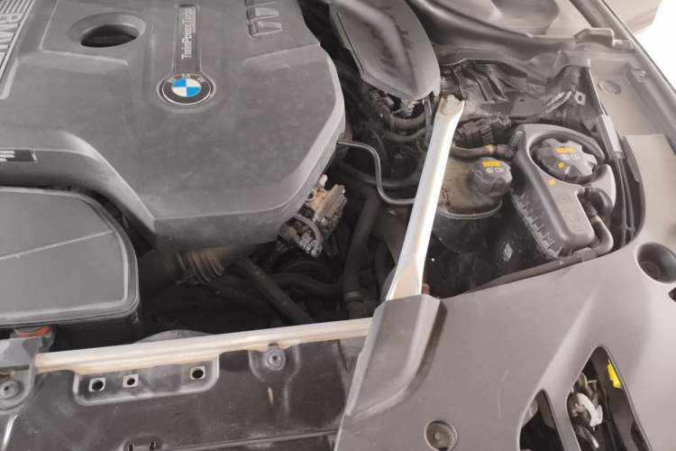Used BMW 5 Series 2020 530Li Leading Model M Sport Package Engine Bay Left