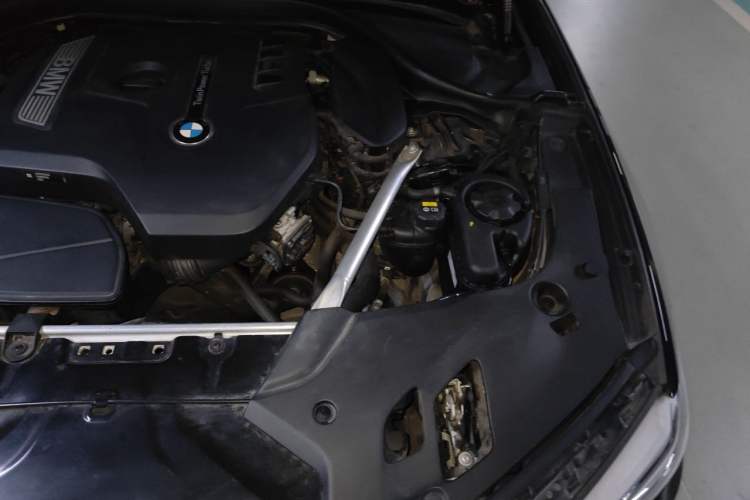 Used BMW 5 Series 2020 530Li Leading Edition Luxury Package Engine Bay Left