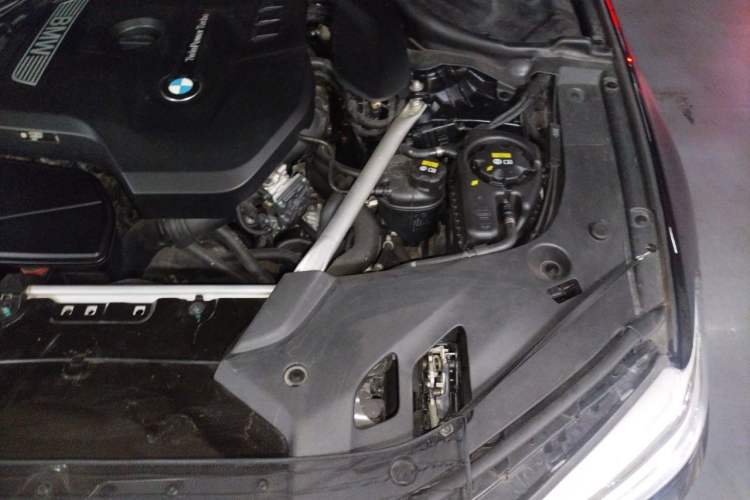 Used BMW 5 Series 2020 530Li Leading Model M Sport Package Engine Bay Left