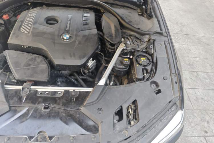Used BMW 5 Series 2020 530Li Luxury Edition M Sport Package Engine Bay Left
