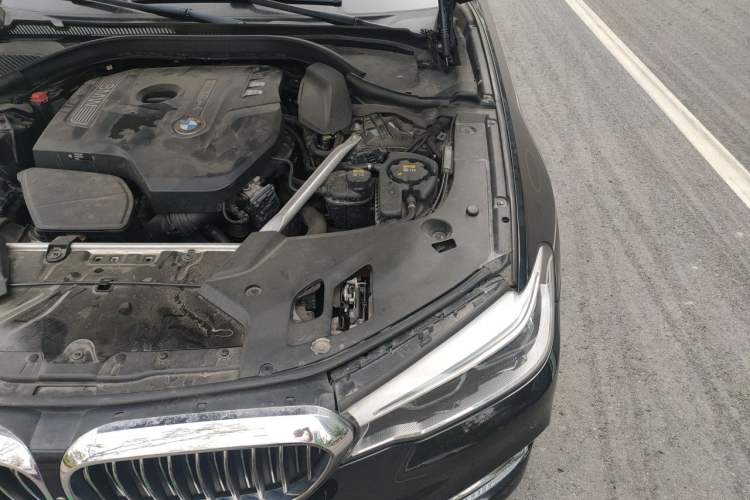 Used BMW 5 Series 2020 530Li Luxury Edition Premium Package Engine Bay Left