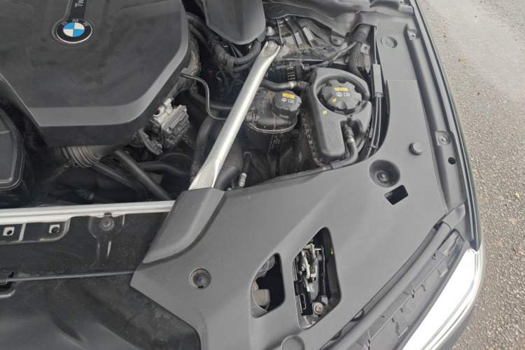 Used BMW 5 Series 2020 530Li Luxury Edition Premium Package Engine Bay Left