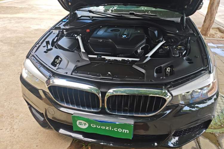 Used BMW 5 Series 2020 525Li M Sport Package Engine Bay
