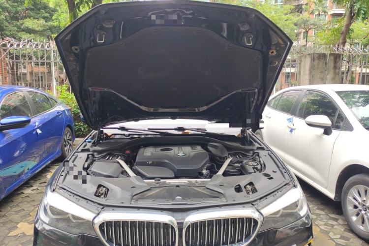 Used BMW 5 Series 2020 525Li Luxury Package Engine Bay