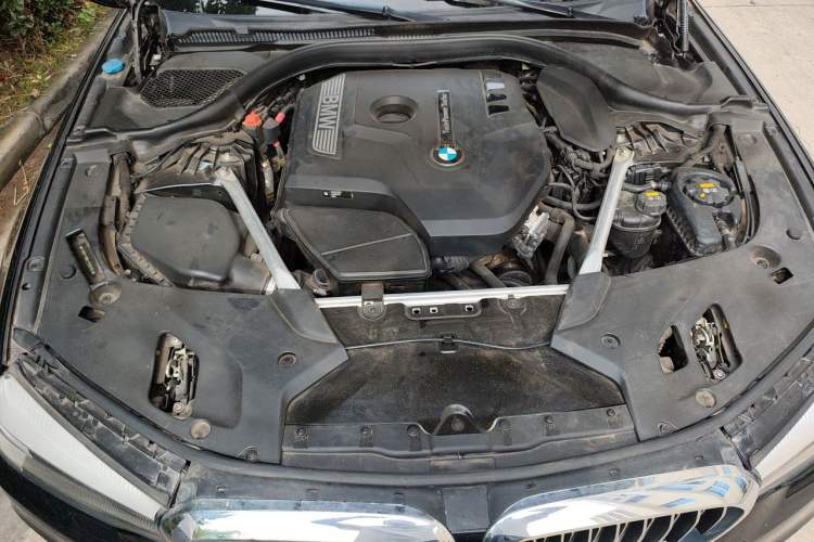 Used BMW 5 Series 2020 525Li Luxury Package Engine Bay