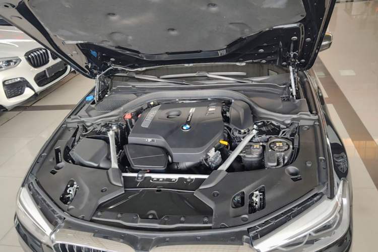 Used BMW 5 Series 2020 530Li Luxury Edition Premium Package Engine Bay