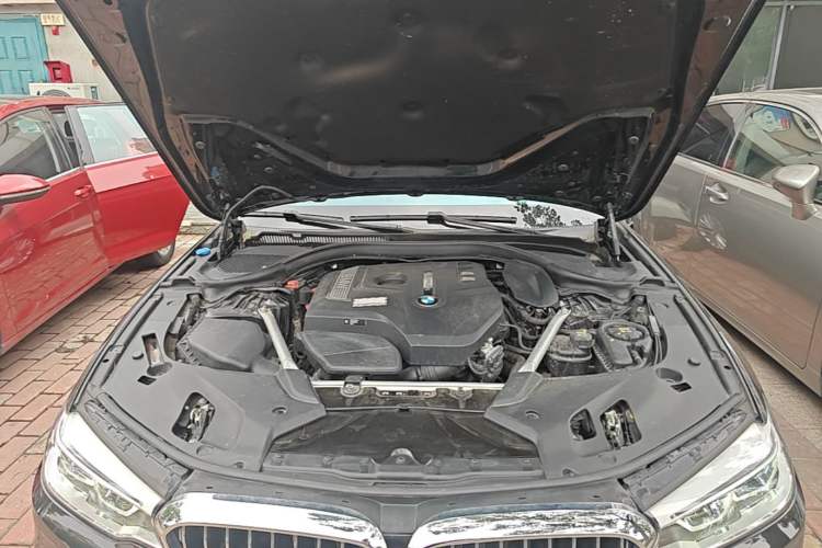 Used BMW 5 Series 2020 530Li Luxury Edition Premium Package Engine Bay