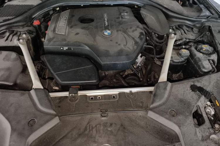 Used BMW 5 Series 2020 530Li Leading Edition Luxury Package Engine Bay