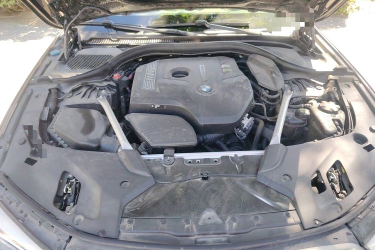 Used BMW 5 Series 2020 530Li Luxury Edition Premium Package Engine Bay