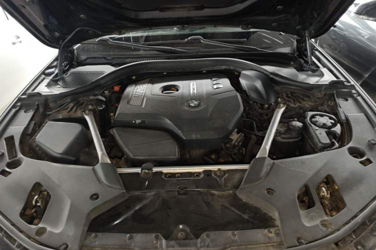 Used BMW 5 Series 2020 525Li Luxury Package Engine Bay