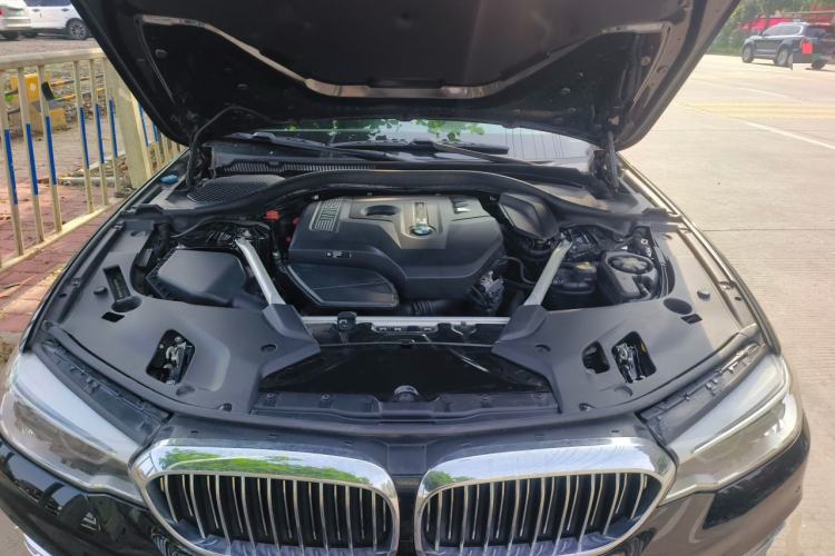 Used BMW 5 Series 2020 530Li Leading Edition Luxury Package Engine Bay