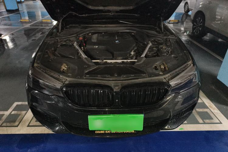 Used BMW 5 Series 2020 530Li Leading Model M Sport Package Engine Bay