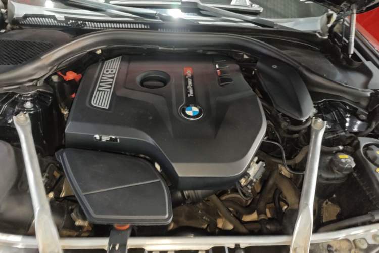 Used BMW 5 Series 2020 530Li Leading Model M Sport Package Engine Bay