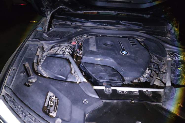 Used BMW 5 Series 2020 530Li Luxury Edition M Sport Package Engine Bay Right
