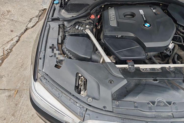 Used BMW 5 Series 2020 530Li Luxury Edition Premium Package Engine Bay Right