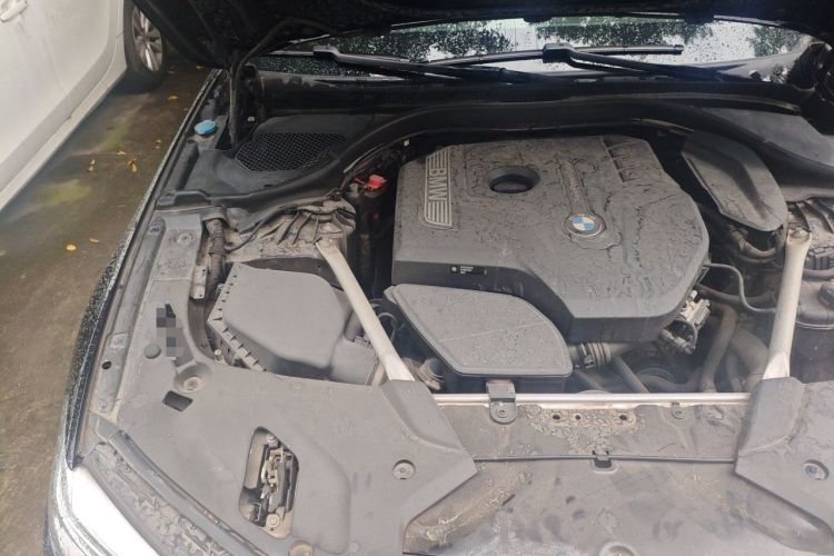 Used BMW 5 Series 2020 530Li Leading Model M Sport Package Engine Bay Right