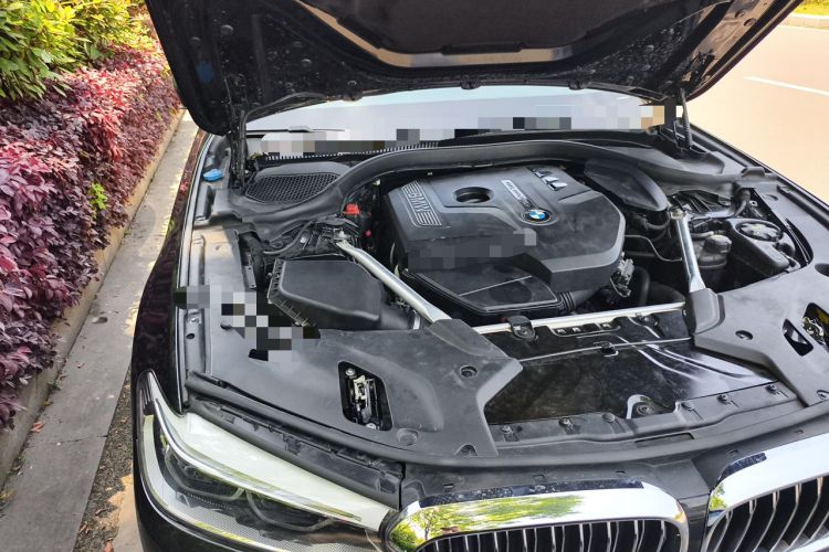 Used BMW 5 Series 2020 530Li Leading Edition Luxury Package Engine Bay Right