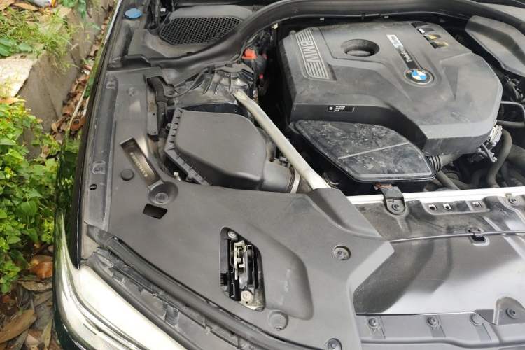 Used BMW 5 Series 2020 530Li Luxury Edition M Sport Package Engine Bay Right