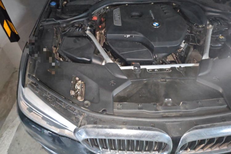 Used BMW 5 Series 2020 530Li Leading Edition Luxury Package Engine Bay Right