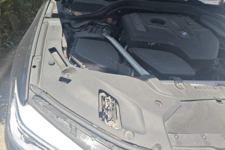 Used BMW 5 Series 2020 530Li Luxury Edition M Sport Package Engine Bay Right