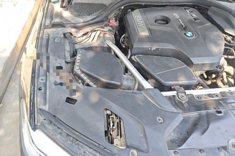 Used BMW 5 Series 2020 530Li Leading Model M Sport Package Engine Bay Right