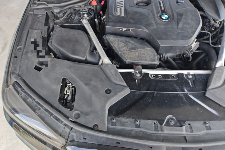 Used BMW 5 Series 2020 530Li Luxury Edition M Sport Package Engine Bay Right