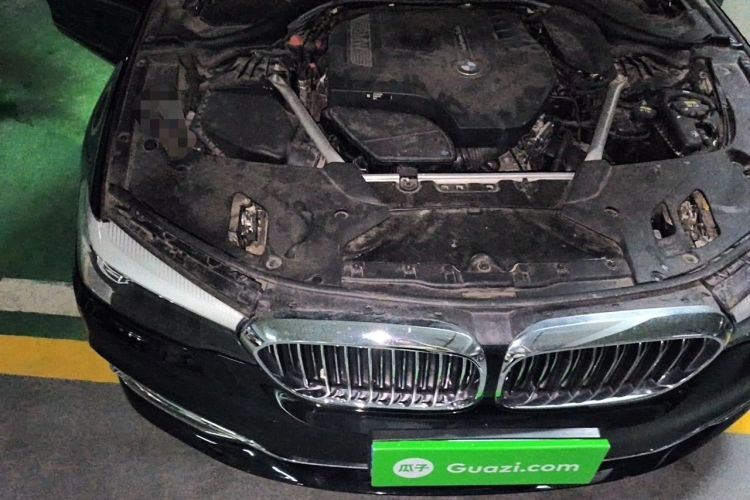 Used BMW 5 Series 2020 525Li Luxury Package Engine Bay Right