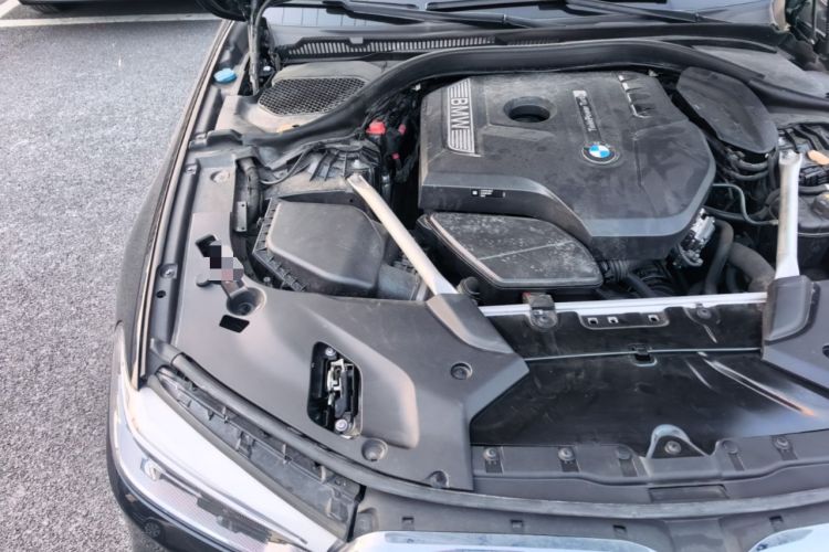 Used BMW 5 Series 2020 530Li Leading Model M Sport Package Engine Bay Right