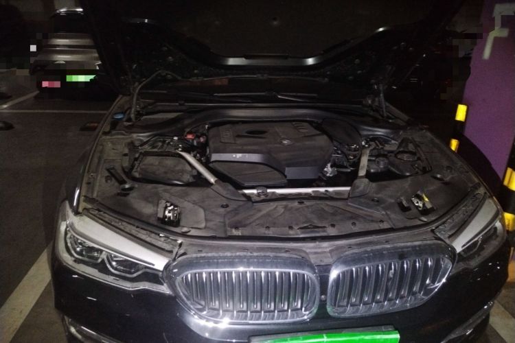 Used BMW 5 Series 2020 530Li Leading Edition Luxury Package Engine Bay Right