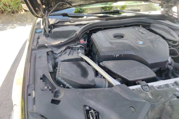 Used BMW 5 Series 2020 530Li Luxury Edition Premium Package Engine Bay Right