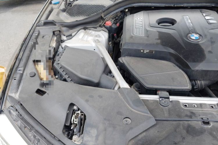 Used BMW 5 Series 2020 530Li Luxury Edition Premium Package Engine Bay Right