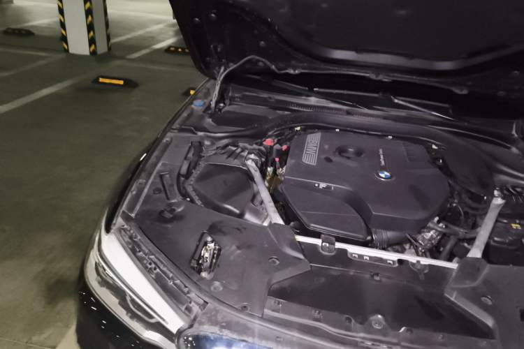 Used BMW 5 Series 2020 530Li Luxury Edition M Sport Package Engine Bay Right