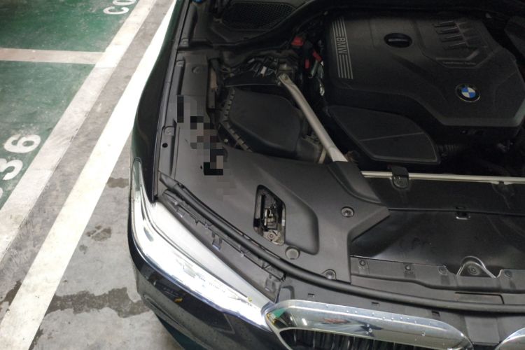 Used BMW 5 Series 2020 530i M Sport Package Engine Bay Right