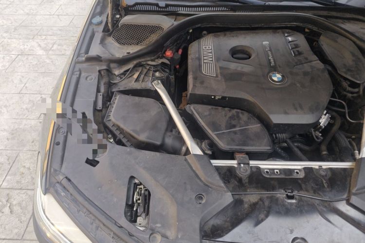 Used BMW 5 Series 2020 530Li Luxury Edition M Sport Package Engine Bay Right