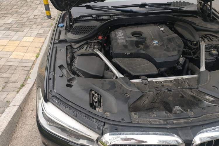 Used BMW 5 Series 2020 530Li Luxury Edition Premium Package Engine Bay Right