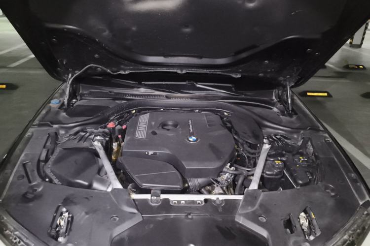 Used BMW 5 Series 2020 530Li Luxury Edition M Sport Package Engine Bay