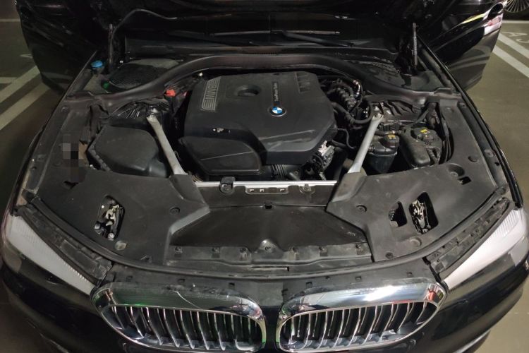 Used BMW 5 Series 2020 525Li Luxury Package Engine Bay