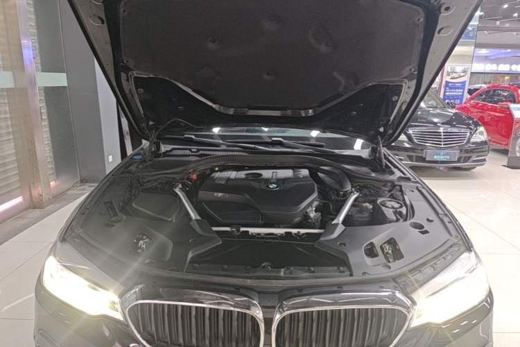 Used BMW 5 Series 2020 530Li Leading Model M Sport Package Engine Bay