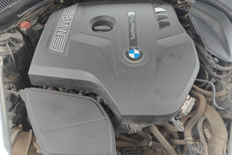 Used BMW 5 Series 2020 530Li Luxury Edition M Sport Package Engine Bay