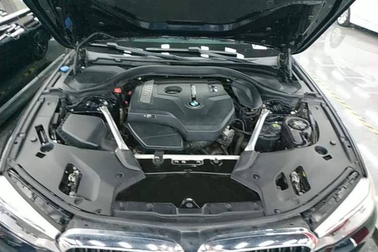Used BMW 5 Series 2020 530Li Luxury Edition M Sport Package Engine Bay
