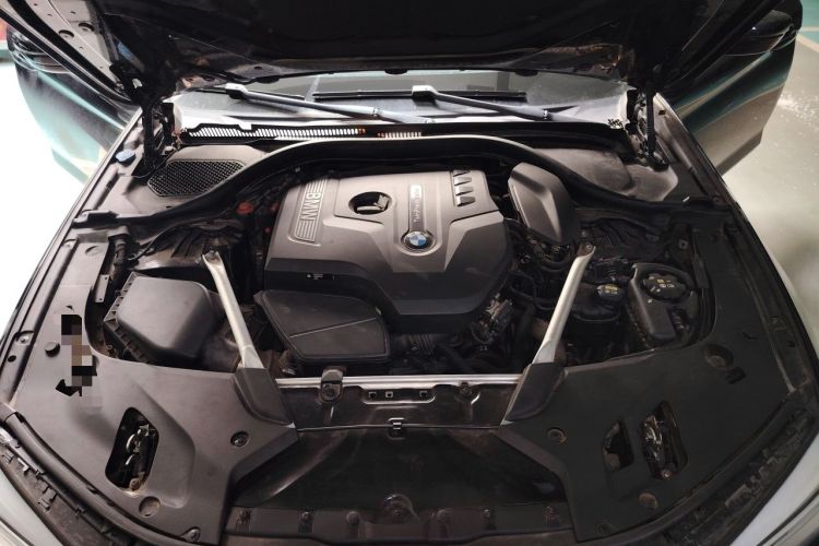Used BMW 5 Series 2020 530Li Leading Model M Sport Package Engine Bay