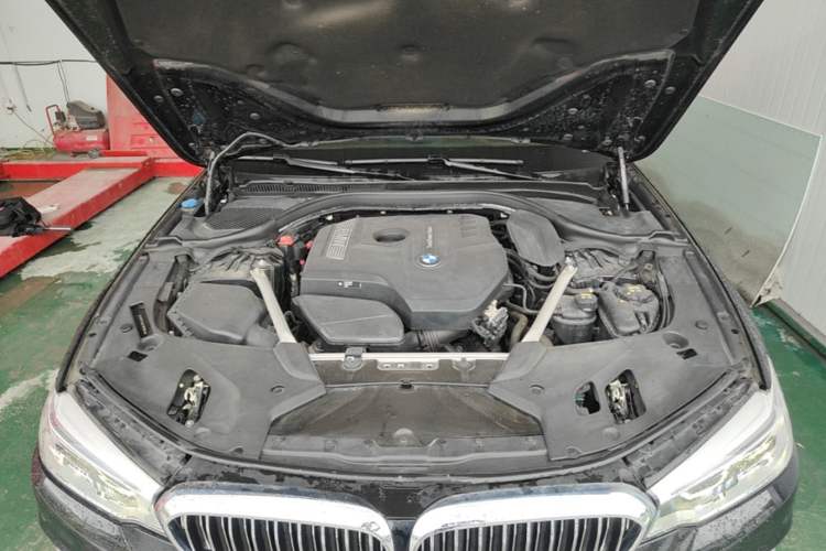 Used BMW 5 Series 2020 530Li Luxury Edition Premium Package Engine Bay